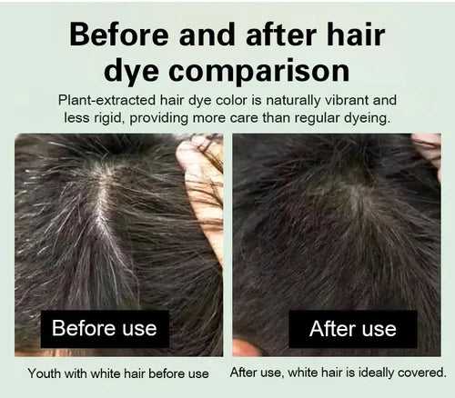 Japanese Long Lasting Natural Hair Dye Shampoo ( Buy 1 Get 1 Free )