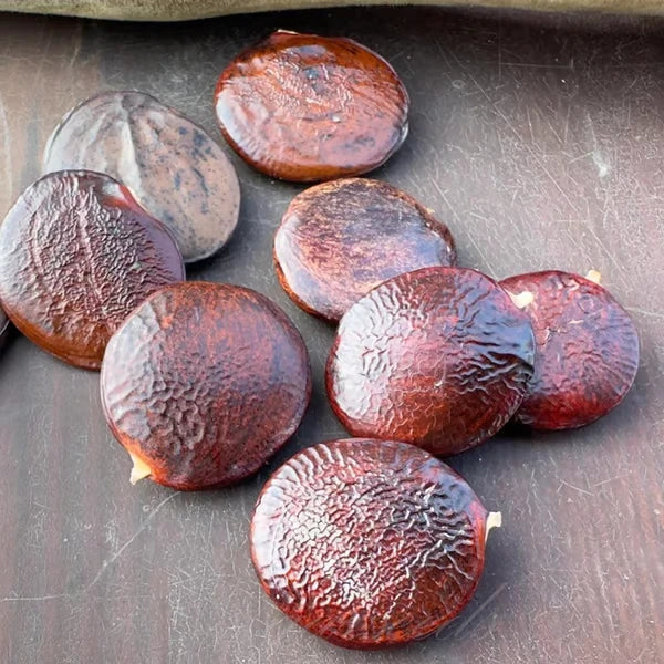 Wisteria Flower Seeds