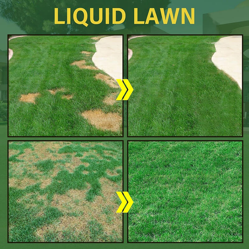 GREEN GRASS & PEST CONTROL LAWN SPRAY (buy 1 get 1 free)